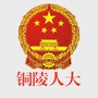 铜陵人大ico