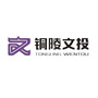 铜陵文投公众号ico