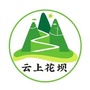 桐梓花坝ico