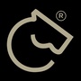 投黑马ico