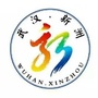投资新洲ico
