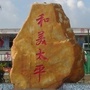 东升和美太平ico