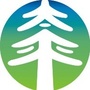 太平金科ico
