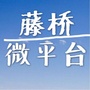 藤桥微平台ico