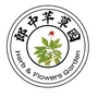 郎中芊草文化传播ico