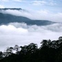 六安市文化和旅游局发布ico
