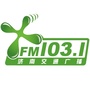 FM1031济南交通广播ico