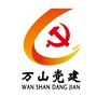 万山微党建ico