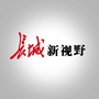长城新视野ico