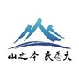 天山厉剑ico