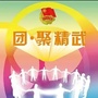 团聚精武ico