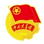 共青团湘西州委ico