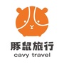 BJ豚鼠旅行公众号ico