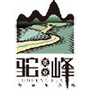 驼峰茶ico