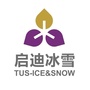启迪冰雪体育中心ico