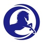 黑马营销团队ico