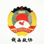 沈阳铁西政协ico