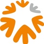 深圳招聘领域ico