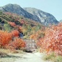 太原西山示范区ico