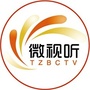 泰州微视听ico