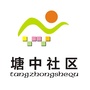 狮山镇塘中社区党委ico