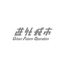 UFO进化城市ico
