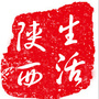 陕西生活汇公众号ico