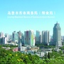 乌鲁木齐商务粮食ico