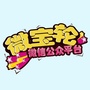 微宝轮ico