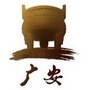 广安发布ico