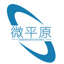 V平原ico