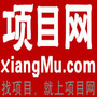 创业必读指南ico