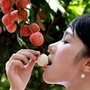 粤西生活圈ico