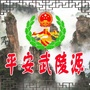 平安武陵源ico