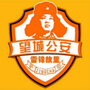 望城公安ico