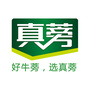 旺达牛蒡真蒡牛蒡ico
