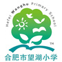 合肥市望湖小学ico