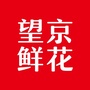 望京鲜花ico