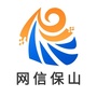 网信保山ico