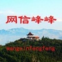 网信峰峰ico