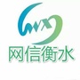网信衡水ico