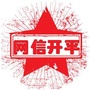 网信开平ico