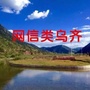 网信类乌齐ico