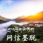 网信墨脱ico