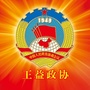 王益政协ico