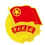 万盛共青团ico