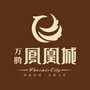 万腾武安凤凰城ico