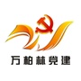 万柏林党建ico
