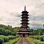 松阳发布ico