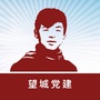 望城党建+ico